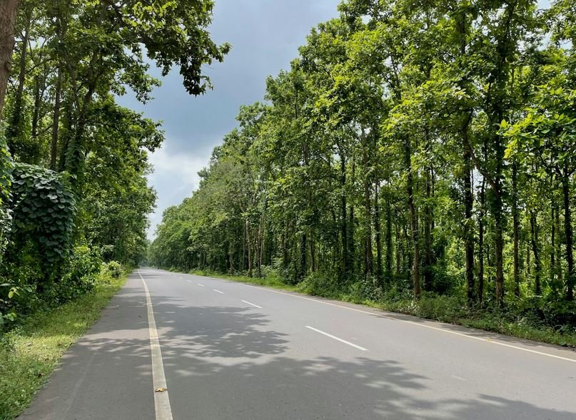 Top 10 India's Most Iconic Road Trip Routes to Explore